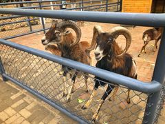 -长白岛森林公园