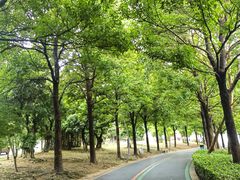 -琅岐红光湖公园
