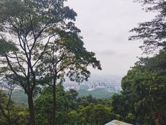-广州市白云山风景名胜区