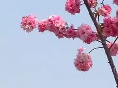 -昆明动物园