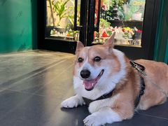 -METAL HANDS(五道营店)