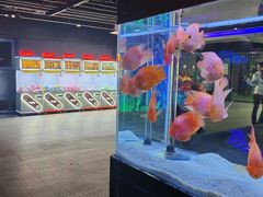 -大连圣亚海洋世界