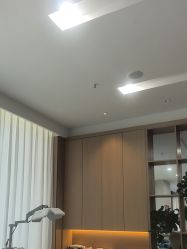 -碧莲盛·不剃发植发