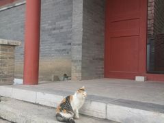 -封龙山风景区
