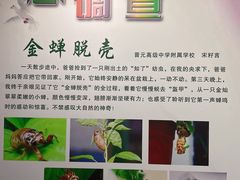 -上海昆虫博物馆