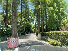 -湖滨客舍·湖北菜