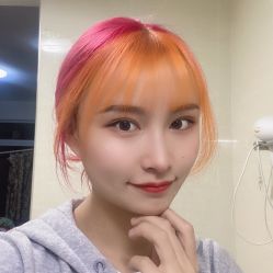 -YESIDO椰岛造型