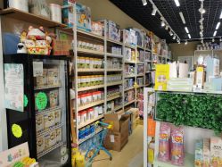 -BebeKing母婴童装集合店