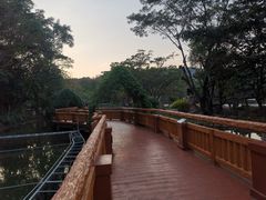 -清迈夜间动物园