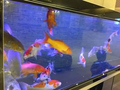 -悦融琥珀·京鲁菜·海味珍品(西单店)