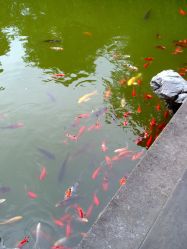 -中华园大饭店·宴会厅