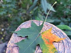 -周口店坡峰岭风景区