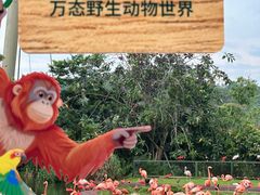 -新加坡飞禽公园