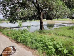 -维乐口腔医院(福清院)