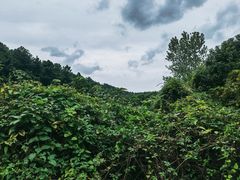 -九龙潭景区