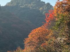 -秦岭终南山世界地质公园翠华山景区