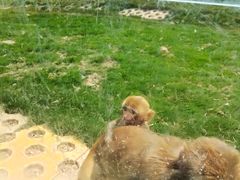 -武汉紫薇都市田园