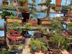 -双季花艺园艺市场(浦东店)