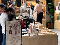 -北京周口店北京人遗址博物馆