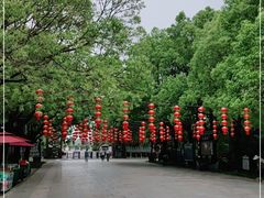 -溱湖国家湿地公园