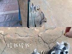 -杭州野生动物世界