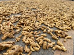 -徐州雨润农副产品全球采购中心