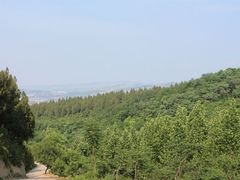 -原山国家森林公园