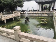 -上海醉白池公园