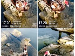 -鄂尔多斯野生动物园