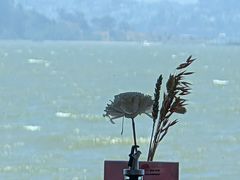 -香港东海海鲜酒家