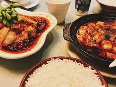 -陈麻婆豆腐总店
