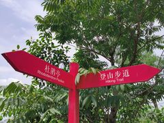 -东莞植物园