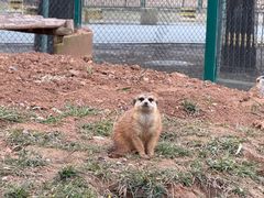 -秦皇岛野生动物园