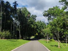 -中国科学院西双版纳热带植物园