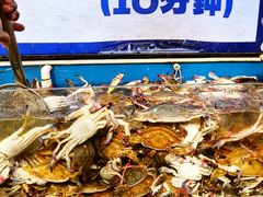 -仙螺岛海鲜自助餐厅(总店)