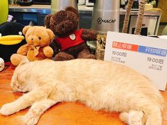 -咖法森林·咖啡  酒吧(天河店)