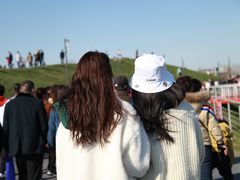 -荷兰花海
