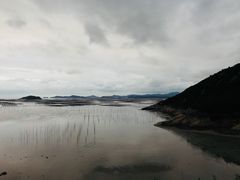 -北岐滩涂
