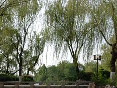 -济南大明湖景区