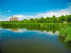 -前关湿地公园