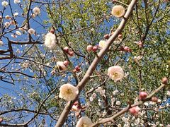 -兰陵国家农业公园