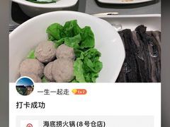 -海底捞火锅(8号仓店)