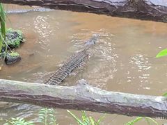 -海南热带野生动植物园
