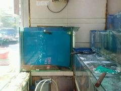 水产区-强记海鲜菜馆(罗湖万象城店)