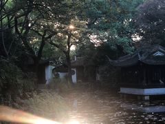 -秋霞圃