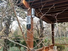 -思念果岭悦温泉