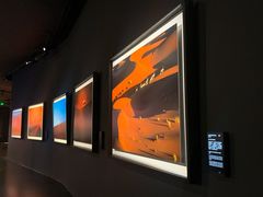 -罗红摄影艺术馆