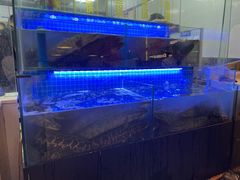 -江南鱼捞(北仑银泰城店)