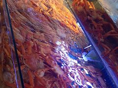 -驻海渔市(置信店)