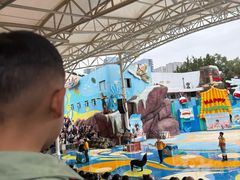 -海合安成都极地海洋公园